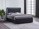 Marceline Beds White & Black Eastren King, Full, Twin, & Queen