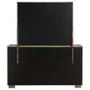 Durango Dresser With Mirror - NY Furniture Direct (NY)