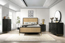 Arini Dresser With Mirror - NY Furniture Direct (NY)