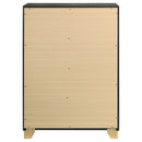 Caraway Chest - NY Furniture Direct (NY)