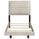 Trenton Beds
