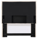 Izzy Twin Headboard - NY Furniture Direct (NY)