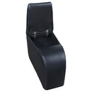 Cyrus Theater Seating - NY Furniture Direct (NY)