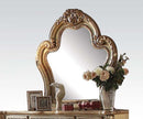 Acme Dresden Mirror 23164 - NY Furniture Direct (NY)