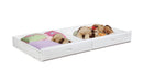 Chapman Storage Trundle White - NY Furniture Direct (NY)