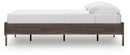 Calverson Youth Bed