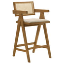 Kane Bar Stool - NY Furniture Direct (NY)