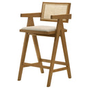 Kane Bar Stool - NY Furniture Direct (NY)