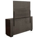 Durango Dresser With Mirror - NY Furniture Direct (NY)
