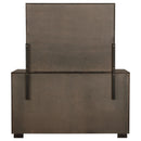 Durango Dresser With Mirror - NY Furniture Direct (NY)