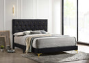 Kendall Panel Bed E.King, & Queen Black & White