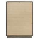 Fenwick Chest - NY Furniture Direct (NY)