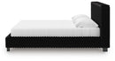 Zuraleus Bed