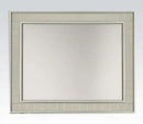 Acme Francesca Mirror in Champagne 62086