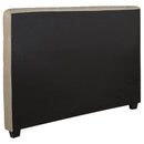 Chloe Queen Headboard - NY Furniture Direct (NY)