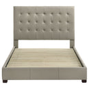 Medley Panel Platform Bed