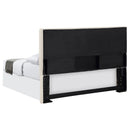 Pirro Queen Headboard - NY Furniture Direct (NY)