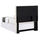 Pirro Twin Headboard - NY Furniture Direct (NY)
