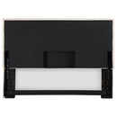 Izzy Queen Headboard - NY Furniture Direct (NY)