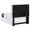 Izzy Twin Headboard - NY Furniture Direct (NY)