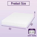 Nasturtium 8" Queen Bamboo Charcoal Infused Memory Foam