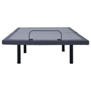 Negan Adjustable Beds - NY Furniture Direct (NY)