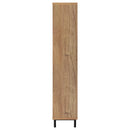 Teller Shoe Cabinet