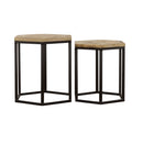 Adger Nesting Table Set