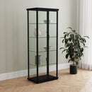 Aero Curio Cabinet - NY Furniture Direct (NY)