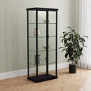 Aero Curio Cabinet - NY Furniture Direct (NY)