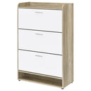 Denia Shoe Cabinet - NY Furniture Direct (NY)