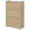 Denia Shoe Cabinet - NY Furniture Direct (NY)