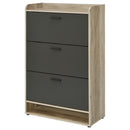 Denia Shoe Cabinet - NY Furniture Direct (NY)