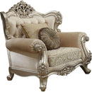 Acme Furniture Bently Chair with 2 Pillows in Champagne 50662 - NY Furniture Direct (NY)