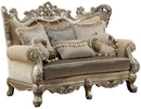 Acme Furniture Ranita Loveseat in Champagne 51041 - NY Furniture Direct (NY)