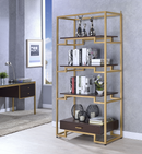 Yumia Gold & Clear Glass Bookshelf - NY Furniture Direct (NY)