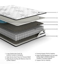 Chime 10 Inch Hybrid Mattress in a Box - NY Furniture Direct (NY)