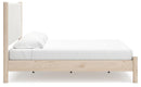 Cadmori Upholstered Bed - NY Furniture Direct (NY)