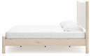 Cadmori Upholstered Bed - NY Furniture Direct (NY)