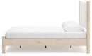 Cadmori Upholstered Bed - NY Furniture Direct (NY)