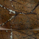 Emsleyfield Candle Holder Set (Set of 2) - NY Furniture Direct (NY)