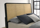 Arini Eastern King Bed - NY Furniture Direct (NY)