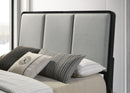 Arini Queen Bed - NY Furniture Direct (NY)
