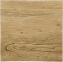 Acacia Chrome End Table