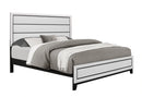 Kate Bed Group