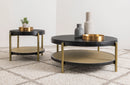 Arini Coffee Table