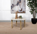 Aldis Coffee Table